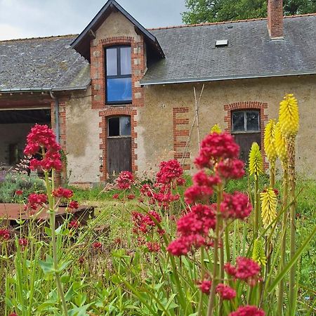 Ecolodges De Loire & Spa Gennes-Val-de-Loire Zewnętrze zdjęcie