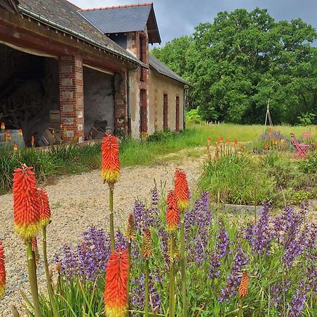 Ecolodges De Loire & Spa Gennes-Val-de-Loire Zewnętrze zdjęcie