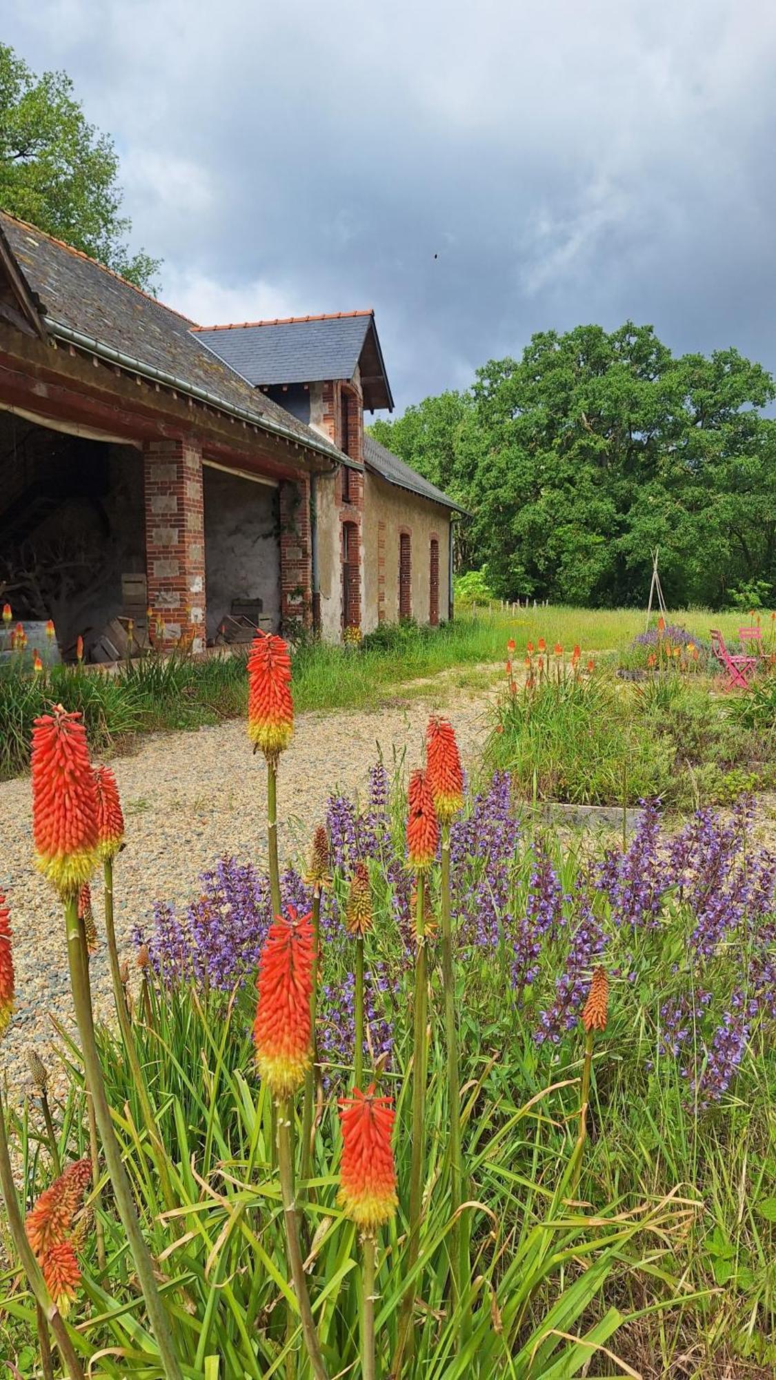 Ecolodges De Loire & Spa Gennes-Val-de-Loire Zewnętrze zdjęcie