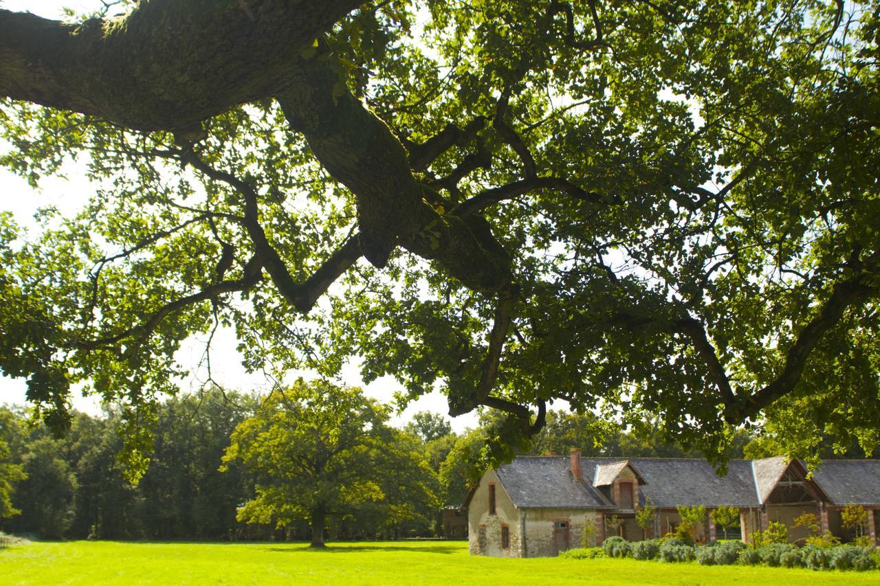 Ecolodges De Loire & Spa Gennes-Val-de-Loire Zewnętrze zdjęcie